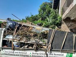 Best Shed Removal  in Pleasant Hill, MO